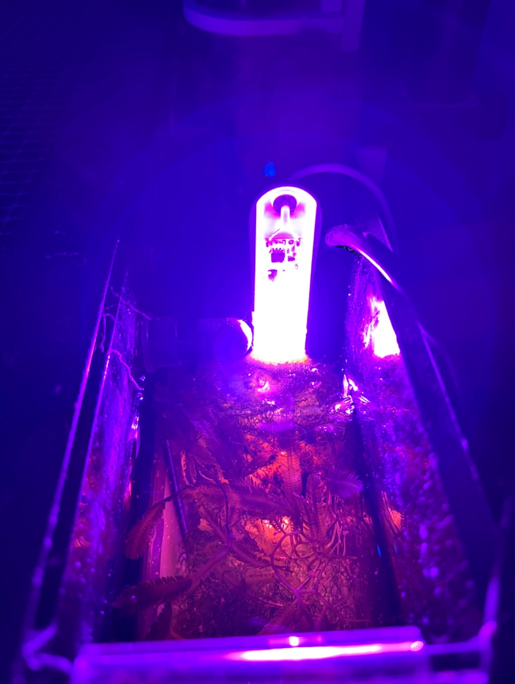 Waterproof Submersible Refugium LED EcoChic Light 8831 - Tunze