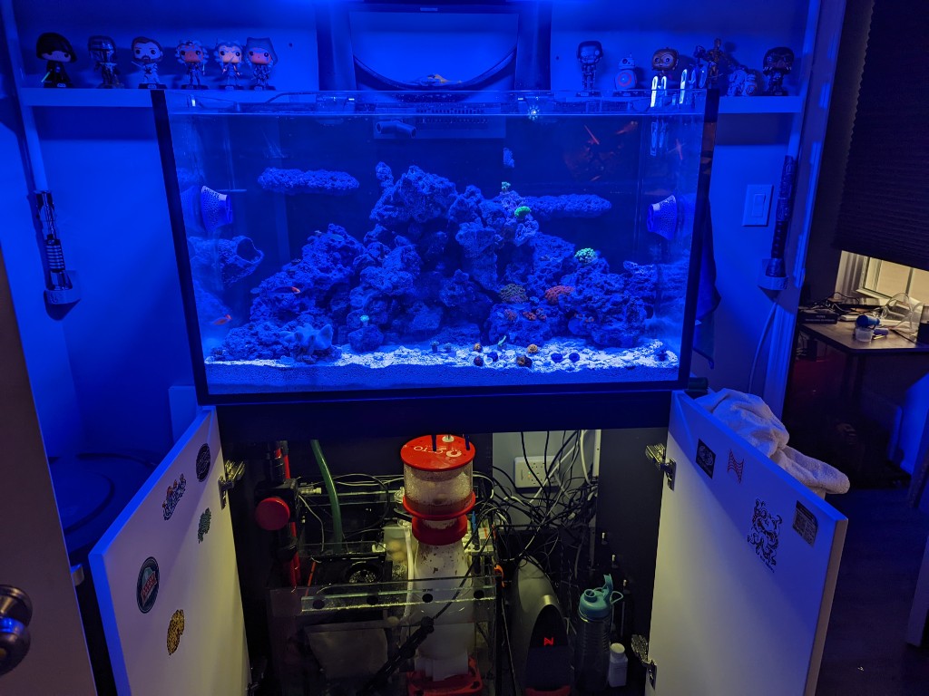 ＲＥＤＳＥＡ　ＲＥＥＦＤＯＳＥー２　未開封　値下げ REDSEA REEFDOSEー2 未開封 値下げ