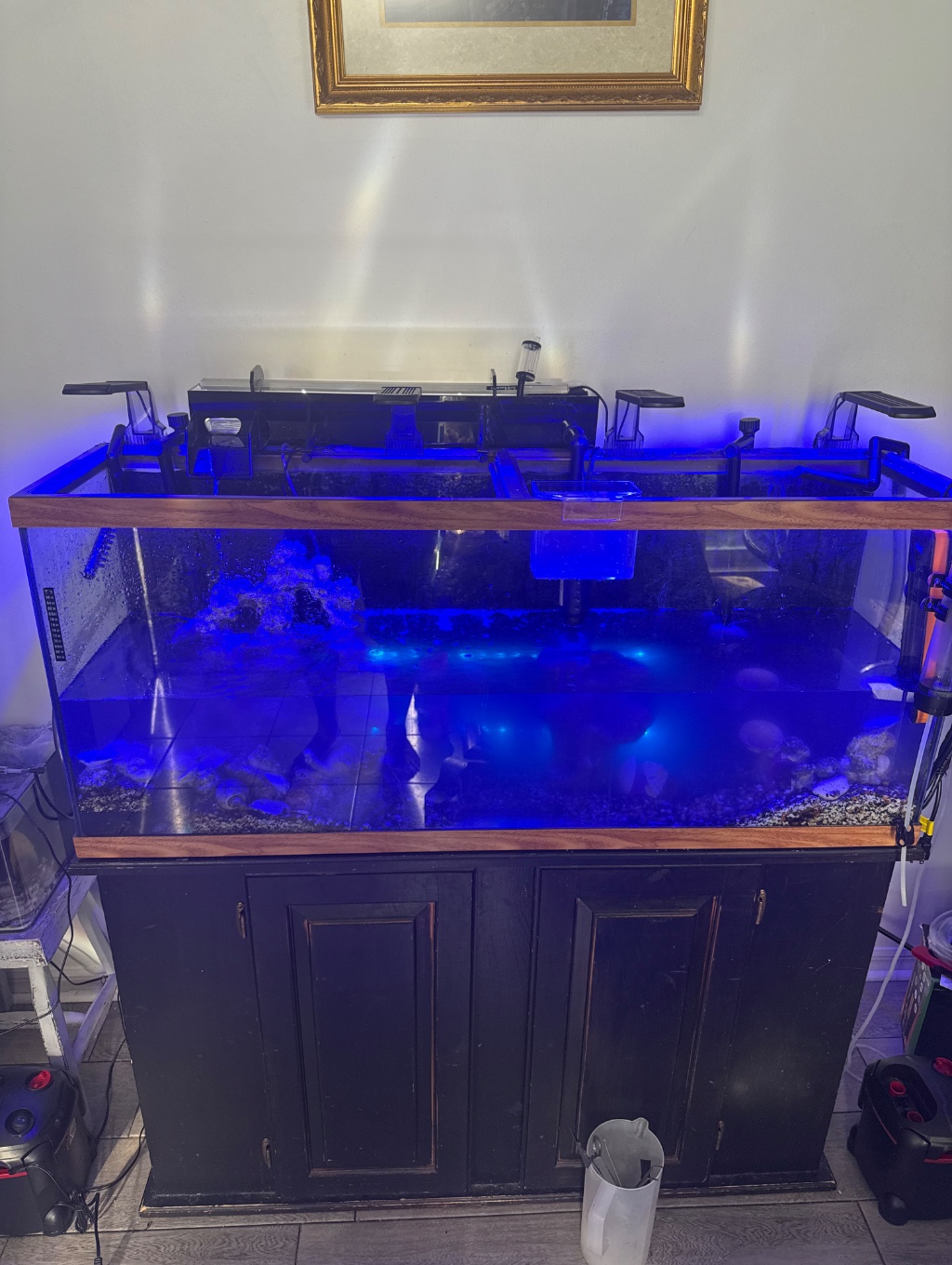 Deluxe AquaFuge2 Hang-On Refugium - Large w/ Light - CPR Aquatics