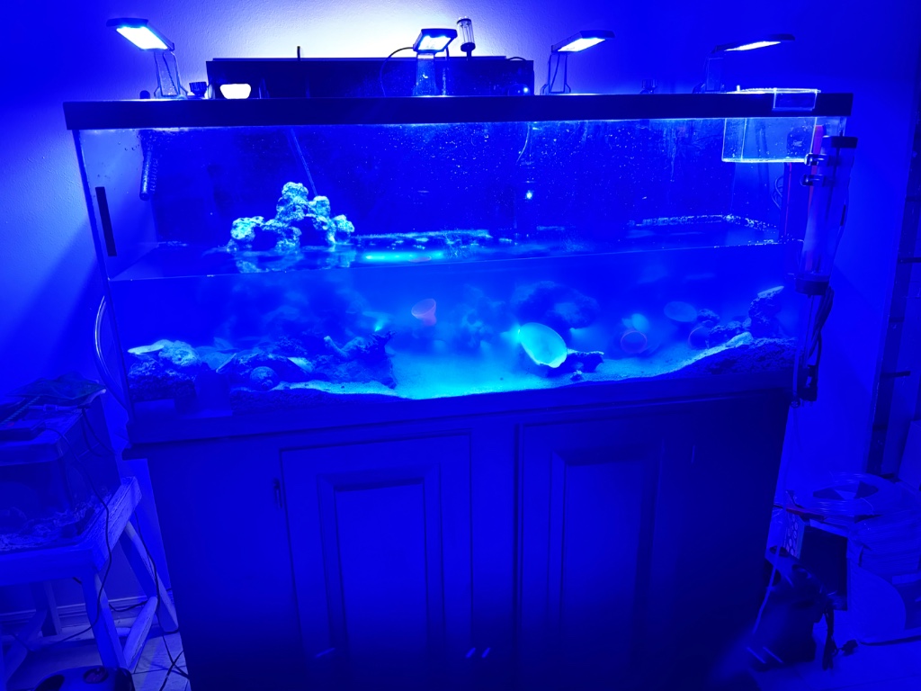 Deluxe AquaFuge2 Hang-On Refugium - Large w/ Light - CPR Aquatics