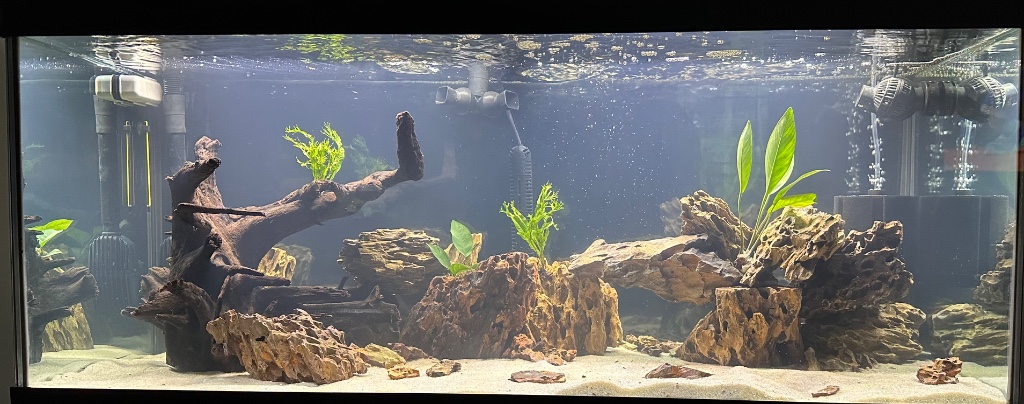 Dragon Stone Mixed Sizes (40 lbs) Dragonstone Freshwater Rock