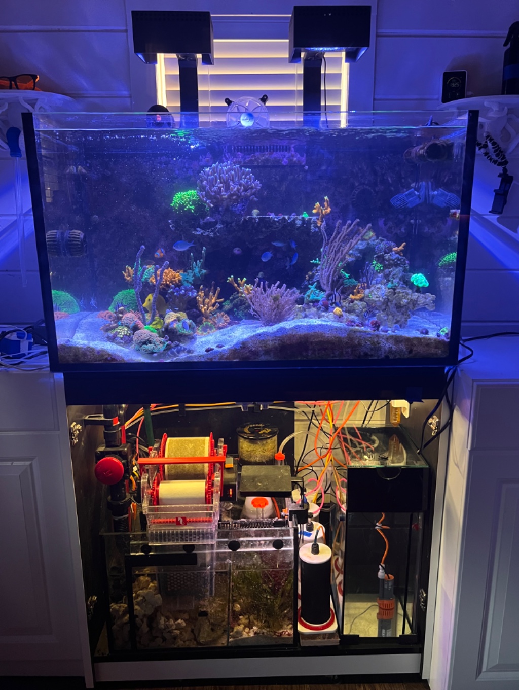 All For Reef Powder (1600g) - Tropic Marin - SaltwaterAquarium.com